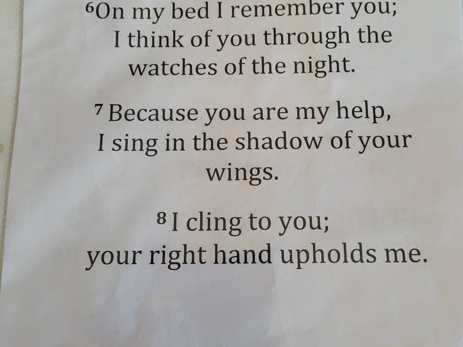 Shirley’s Scriptures