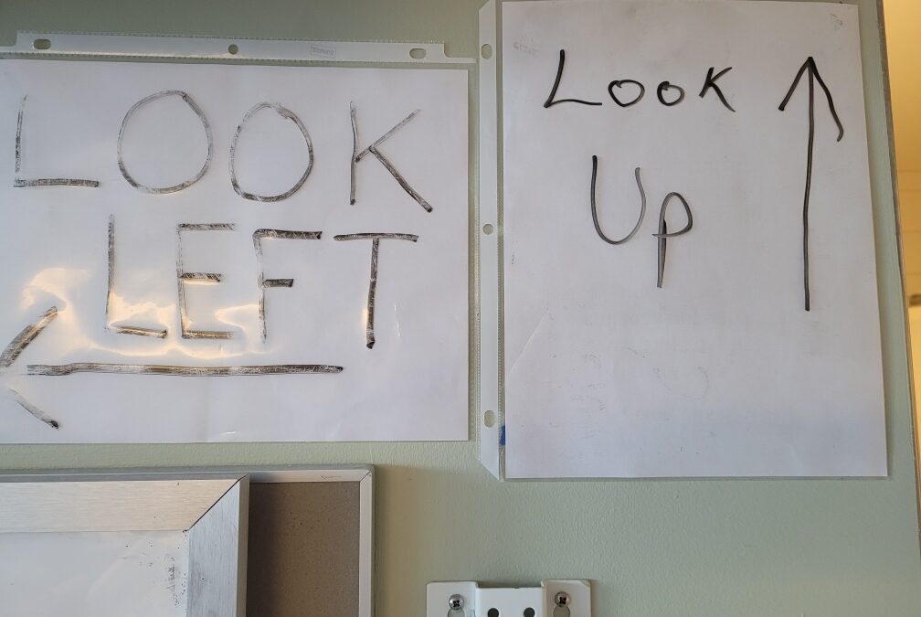 “Look Left; Look Up!”