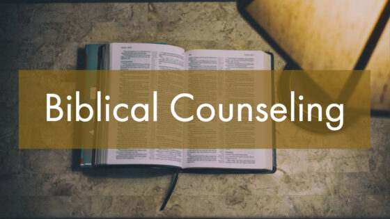 The 22 Top Biblical Counseling Books of 2022