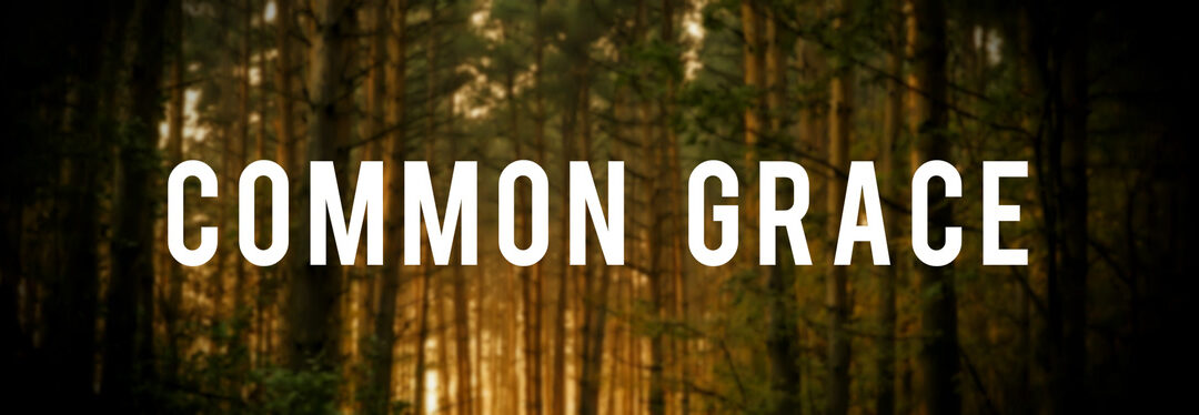 7 Reformed Theologians on Common Grace