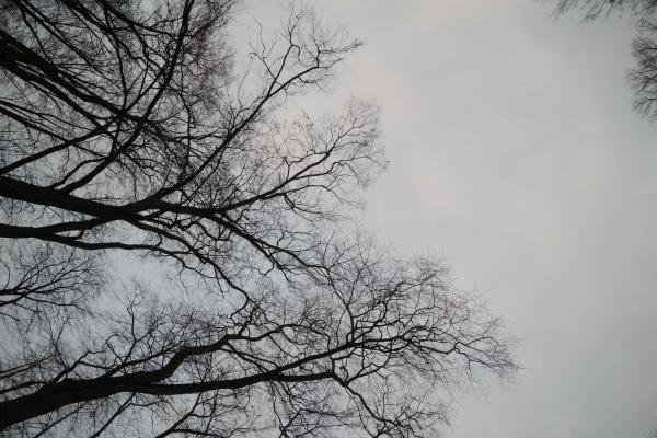 Rich Hope Requires Intense Lament