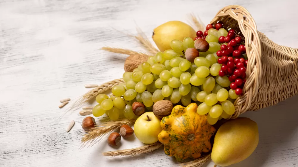 20 Posts: A Cornucopia of Blogging