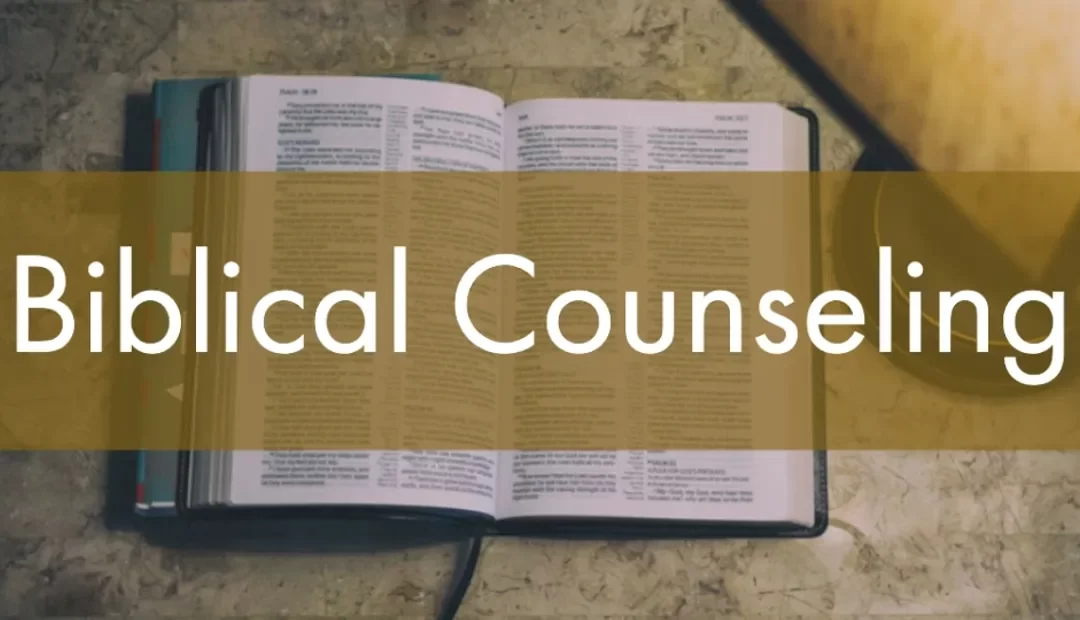10 Top Biblical Counseling Books of 2025