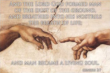 “Feed My Sheep”: The Biblical, Theological, and Historical Basis for Whole-Person Embodied-Soul Care